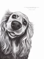 Dessin d'un cocker associé à la citation : « N’attendez pas d’être heureux pour sourire, souriez pour être heureux » – Edward L. Kramer - Dessin de Marjorie Esquerre