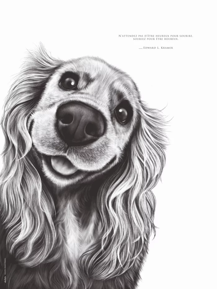 Dessin d'un cocker associé à la citation : « N’attendez pas d’être heureux pour sourire, souriez pour être heureux » – Edward L. Kramer - Dessin de Marjorie Esquerre