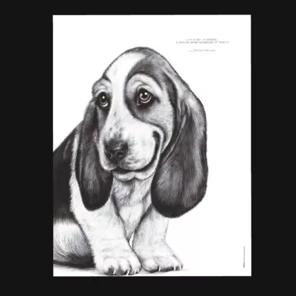 Affiche Basset Hound 30 x 40 cm avec citation drôle : « Je n'ai pas la flemme, je suis en mode économie d'énergie ». Une illustration originale et amusante.