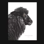 Affiche Le mouton noir - Dessin d'un mouton noir associé à une citation sur le fait de se démarquer - une décoration originale qui porte un message fort !