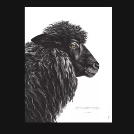 Affiche Le mouton noir - Dessin d'un mouton noir associé à une citation sur le fait de se démarquer - une décoration originale qui porte un message fort !