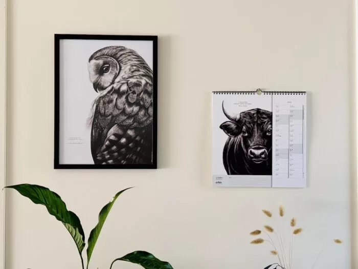 calendrier 2027 avec dessins d'animaux - illustrations Marjorie Esquerre pour Décopositive