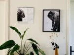calendrier 2027 avec dessins d'animaux - illustrations par Marjorie Esquerre pour Décopositive